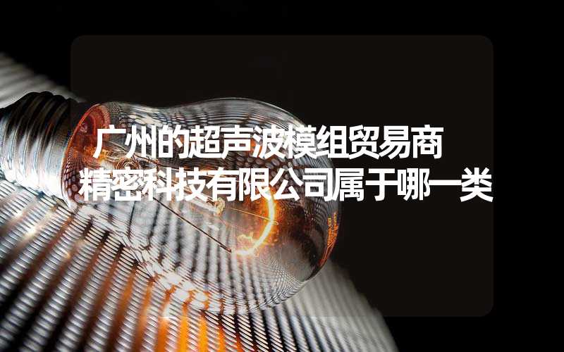 广州的超声波模组贸易商 精密科技有限公司属于哪一类